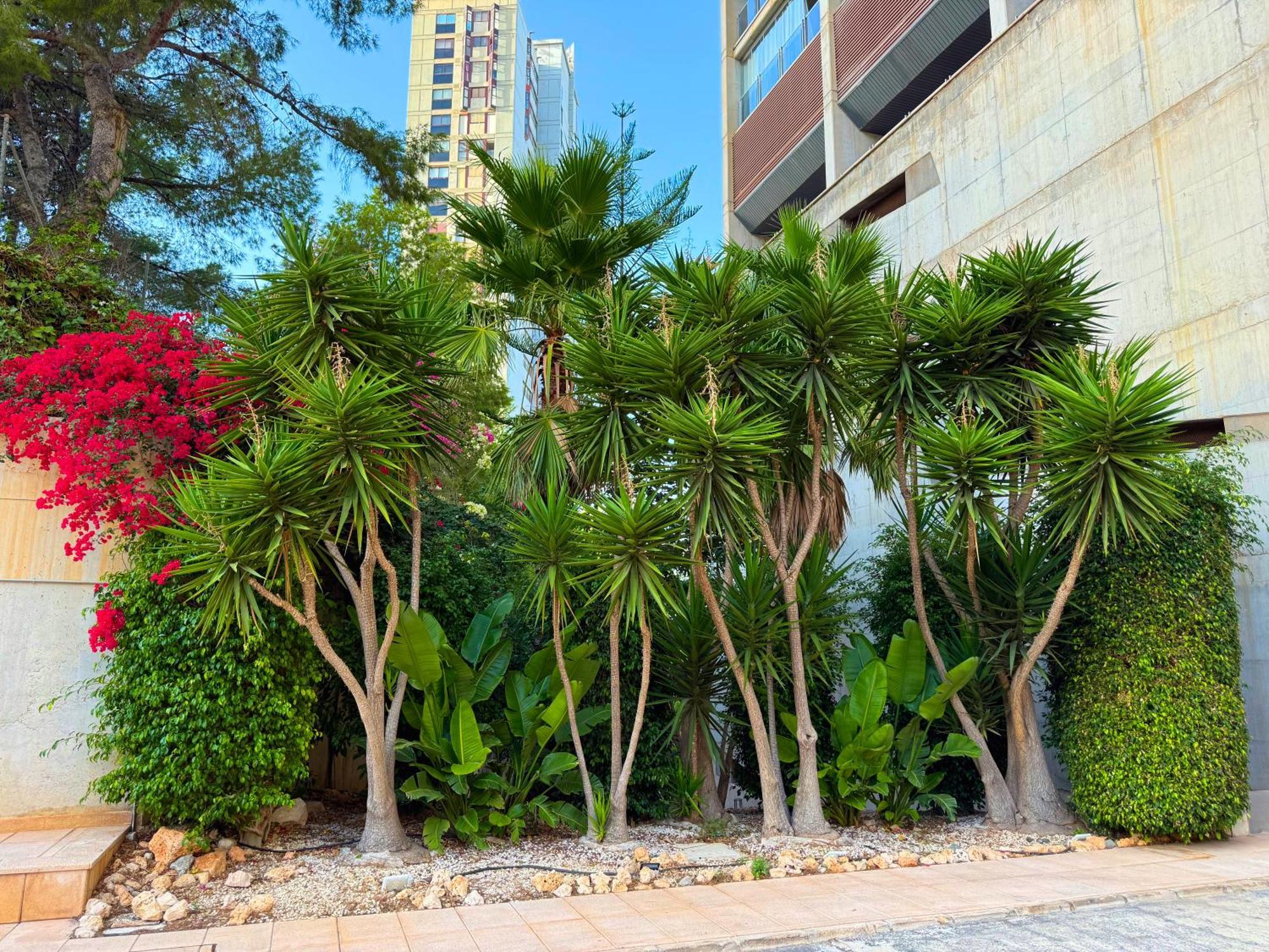 Beautiful Apartment Near Beach With Panoramic Sea-View Benidorm Ngoại thất bức ảnh